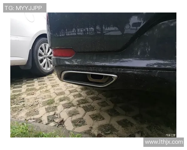 飞盘焦点：武汉飞盘队的灵活性探讨